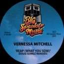 Vernessa Mitchell & Doug Gomez - Reap (What You Sow) (Doug Gomez Chruch Instrumental)