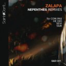 Zalapa - Dismal (Sevi (US) Remix)
