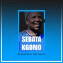Mr Skiripoto - Sebata Kgomo (Bolohouse Mix)