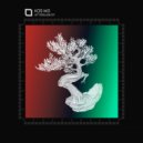 Kos:mo - Monteverde (Original Mix)