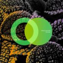 Space Castorz - Choice