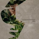Armina - Concentration