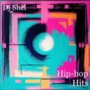 Dj Shel - Hip Hop Hits ()