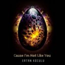 Ertan Koculu - Cause I'm Not Like You