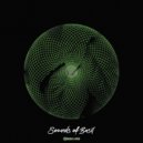Sounds of Basil - Fallen Tears ()
