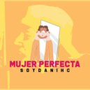 Dani Hc - Mujer Perfecta