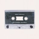 Wolf Schulz - aquamarine ()