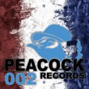 Dr. Peacock & Repix - Out of My Fucking Mind