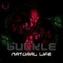Buckle - Indian Dawn