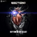 Section 1 - Rhythm Of My Heart (Extended Mix)