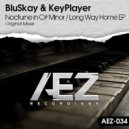 BluSkay - Long Way Home