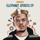 ZIDDO - Elephant Spirits