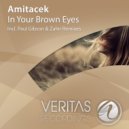 Amitacek - In Your Brown Eyes (Zahir Remix)