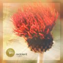 Jordan Grace, Kasango - Save a Prayer (DJ Chus Rework)