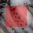 Das SPEZIAL, Matthew Herbert, Taya Michington - What Does It All Mean (Original Mix)