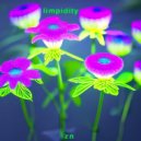 zelёnoe nedo - limpidity ()