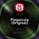 NS13 - Pinguicula (Original)