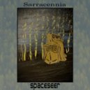 spaceseer - A Funeral for Mothsteeds (and their Brave Riders)