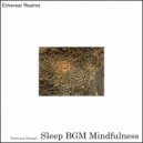Sleep BGM Mindfulness - Serenity Symphony (Original Mix)