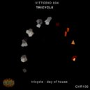 Vittorio 004 - Day Of House (Original Mix)