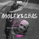 MOLEX., QBas - The Style (Original Mix)