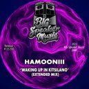 Hamooniii - Waking Up In Kitsilano