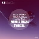 Frank Hurman, Julio Posadas, Pedro Miras - Whales On Sea (Puddle ecoSystem & Clapmun Remix)