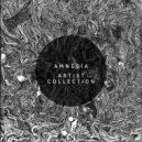 Amnesia - Countdown (Original Mix)