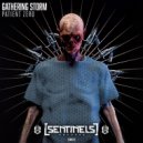 Gathering Storm - Scrap Alloys (Original Mix)