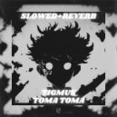 Tigmus - Toma Toma (Brazilian Phonk) [Slowed + Reverb] (Original Mix)