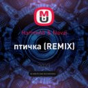 HammAli & Navai - птичка