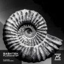 Sashtek - Planaxis