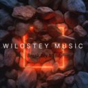 WILOSTEY MUSIC - Break My Mind (Live Mix)
