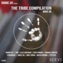 2WB - Groove Vibration (Original Mix)