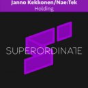 Janno Kekkonen, Nae:Tek - Holding