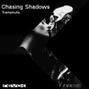 Chasing Shadows - Plea (Not So Heavy Remix)