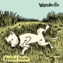 Wonderflu - Senile Approach