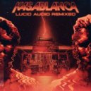 Kasablanca - Crucible