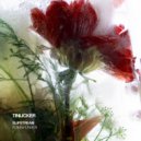 Tinlicker, Julia Church - Slipstream feat. Julia Church