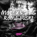 MOLEX., QBas, Roma Busha - Tikita (Original Mix)