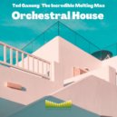 Ted Ganung, The Incredible Melting Man - Orchestral House (Original Mix)