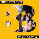BWK Project - Never Knew (Original Mix)