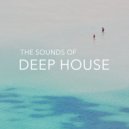 N.E.O.N, Dellahouse - I Need You (Original Mix)