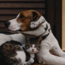 Teddie Lofi & Chill Hop Lofi Study Beats & Pets Total Relax - Serene Pet Soundscape ()