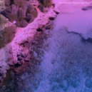 Silex Soils - Hidden Connection