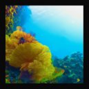Packim, HYLE, Vic Blonde - Everywhere (Original Mix)