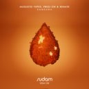 Augusto Yepes, Presi On & Renate - Selvaggio (Original Mix)