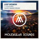 Lost Witness - 7 Colours (David Nimmo Extended Mix)