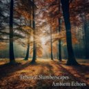 Ambient Echoes - Floating Dreams