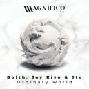 Bolth, JOY RIVO & JTO - Ordinary World (Original Mix)